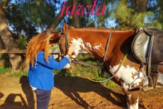 Journée à cheval avec Jawla