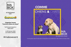 Comme Chiens et Chats: l’événement dédié aux animaux de compagnie