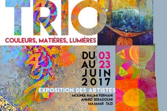 Exposition «Trio -couleurs, matières, lumières » à la galerie Ezzou’art
