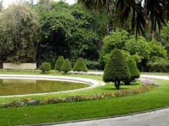 Visite guidée du Jardin d&#039;essai du Hamma