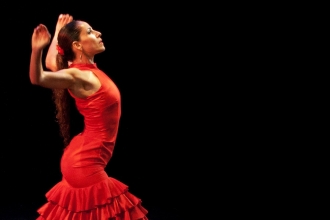 Stage de danse flamenco
